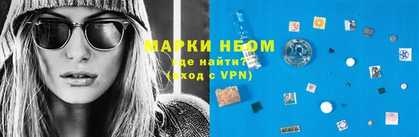 индика Бронницы