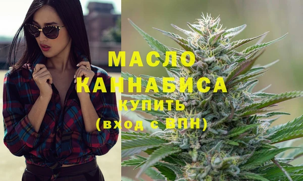 индика Бронницы