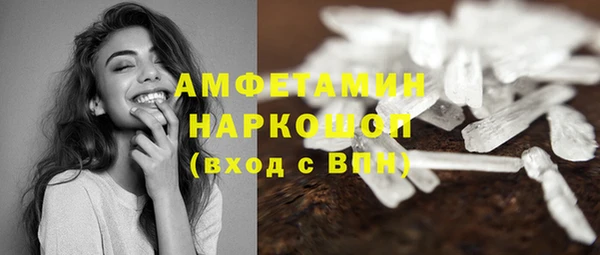 спиды Бородино