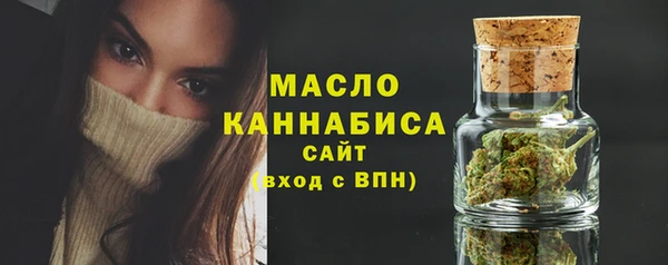 индика Бронницы