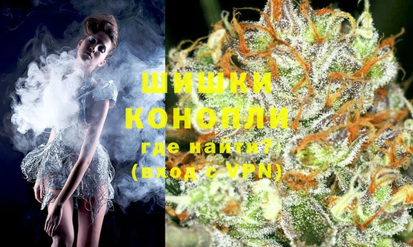 индика Бронницы