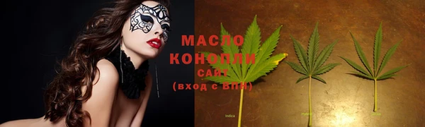 индика Бронницы