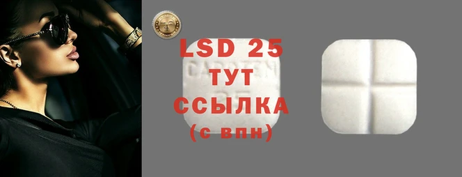 спиды Бородино