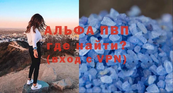 спиды Бородино