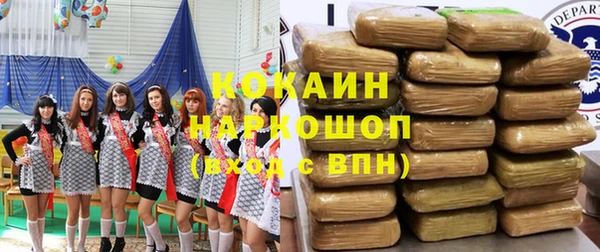 индика Бронницы