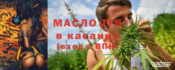 индика Бронницы
