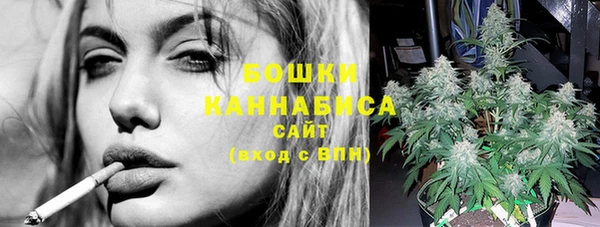 индика Бронницы