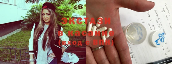индика Бронницы