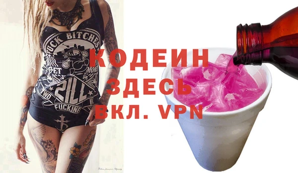 спиды Бородино
