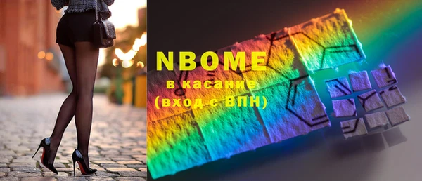 индика Бронницы