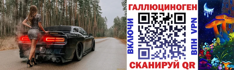закладки  гидра   Псилоцибиновые грибы Psilocybine cubensis  Рыбинск 